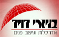 בניזרי דויד - ארכיטקטורה